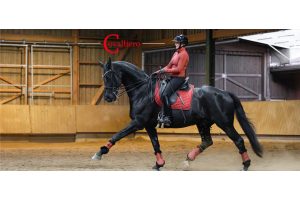 Kolekcja Jesień/Zima 2025 od Covalliero