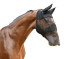 Maska przeciwowadowa dla konia z uszami i nozdrzami, czarny, Covalliero