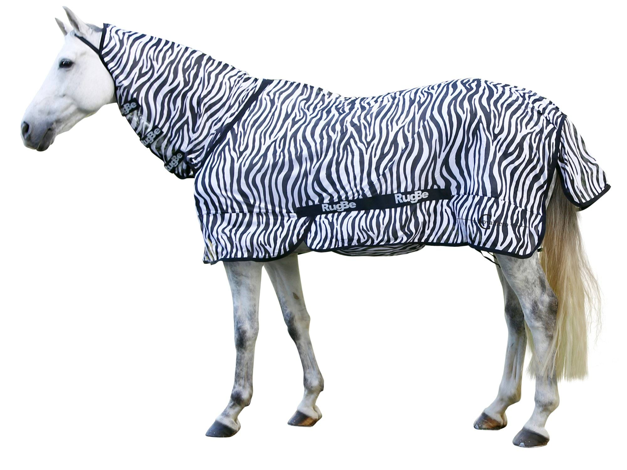 Derka przeciwowadowa dla konia RugBe Zebra, 145 cm, Covalliero