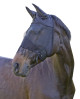Maska przeciwowadowa dla konia z uszami i frędzlami, czarny, Covalliero