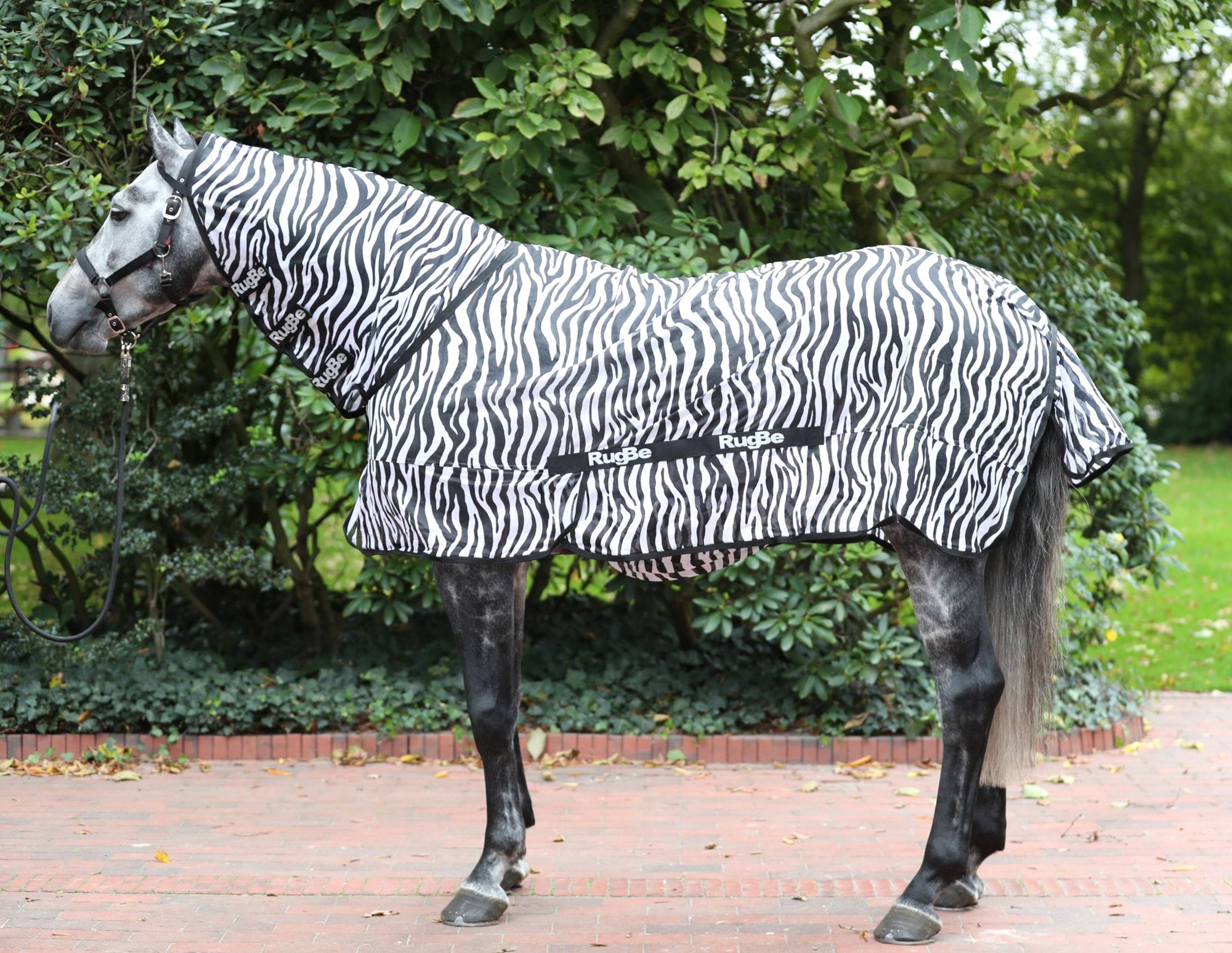 Derka przeciwowadowa dla konia RugBe Zebra, 125 cm, Covalliero