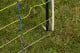 Palik wspierający do siatek ogrodzeniowych, 145 cm, śr. 14 mm, ocynkowany, Kerbl