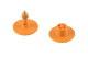 Kolczyk dla trzody Multiflex R, część męska i żeńska, pomarańczowy, z nadrukiem, Caisley