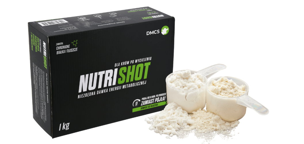 Nutri Shot preparat energetyczny dla krów po wycieleniu