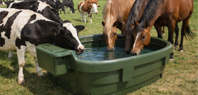 Poidła pastwiskowe <br> 550 i 1000 litr&oacute;w