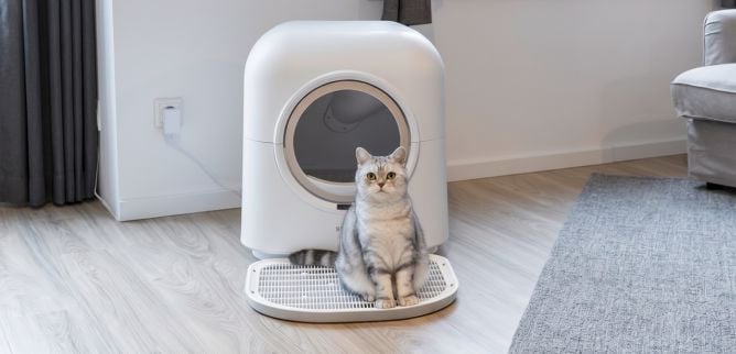 Nowości PET 2026/2027