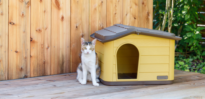 Już są... nowości 2025/2026