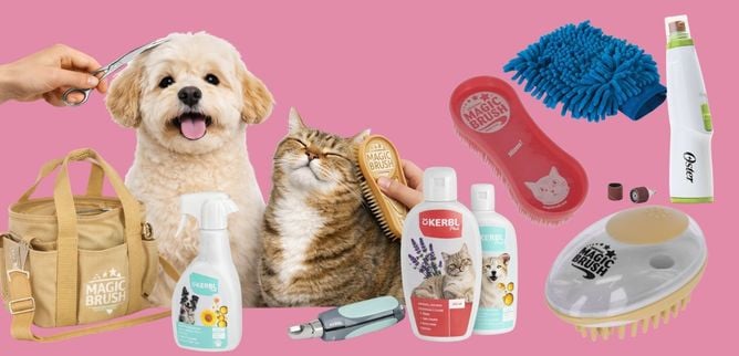 Pełna oferta pielęgnacji dla ps&oacute;w i kot&oacute;w