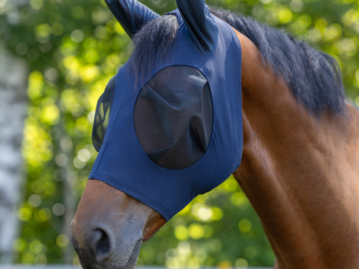 Covalliero fly masks